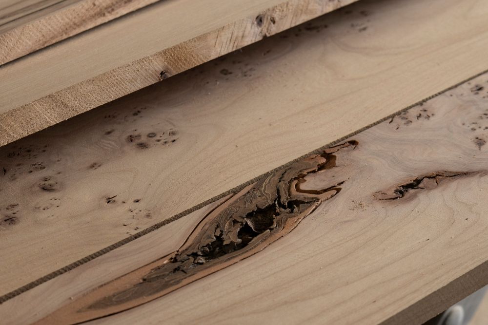 Das Ausgangsmaterial für unsere Messerleisten aus Maserulme